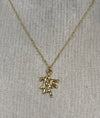 Collier Corail