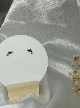 Boucles d'oreilles Delphine