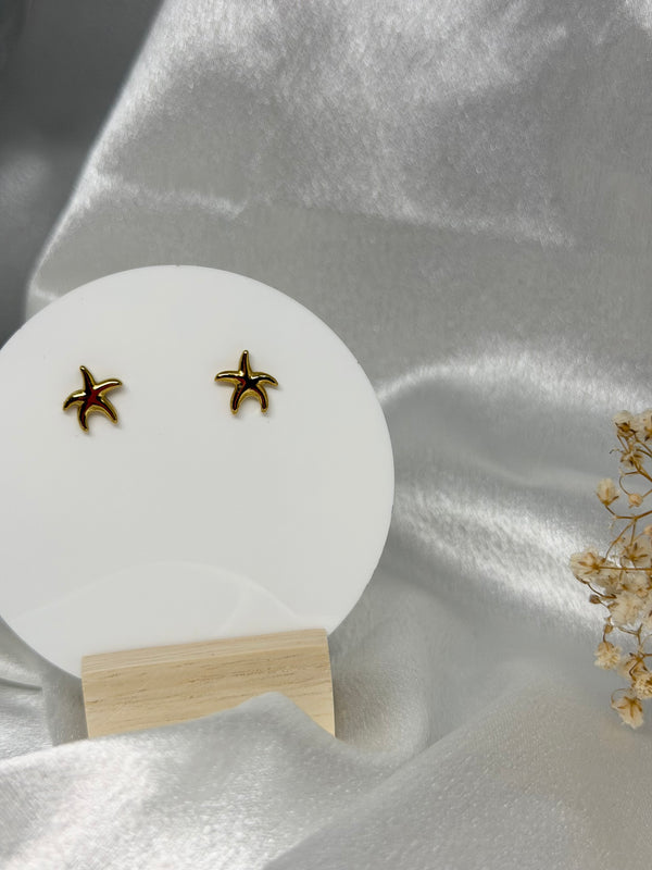 Boucles d'oreilles Ushaia